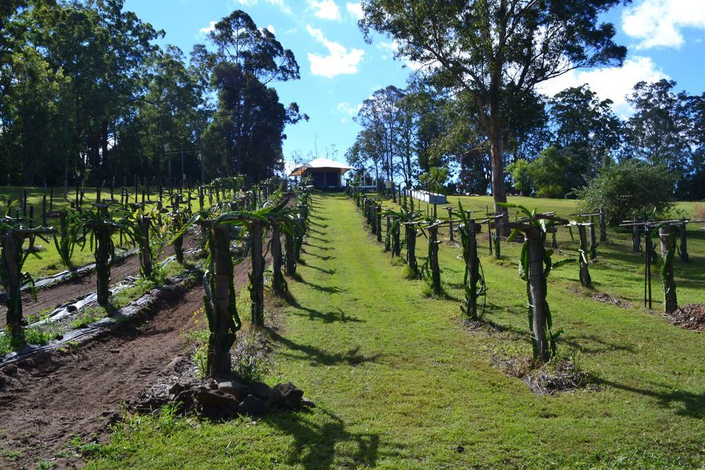 Tuckers Retreat Hotel Canungra ภายนอก รูปภาพ