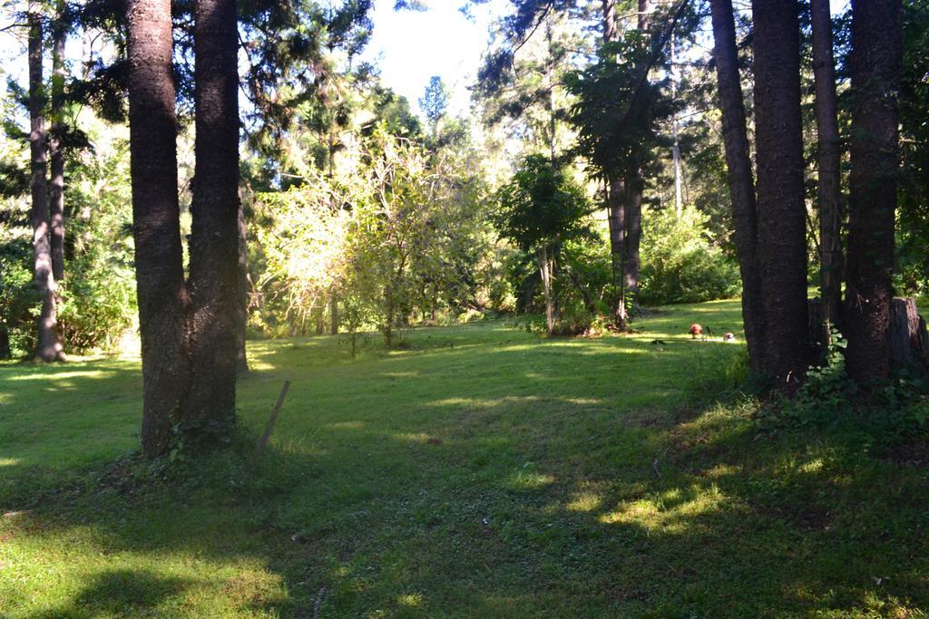 Tuckers Retreat Hotel Canungra ภายนอก รูปภาพ