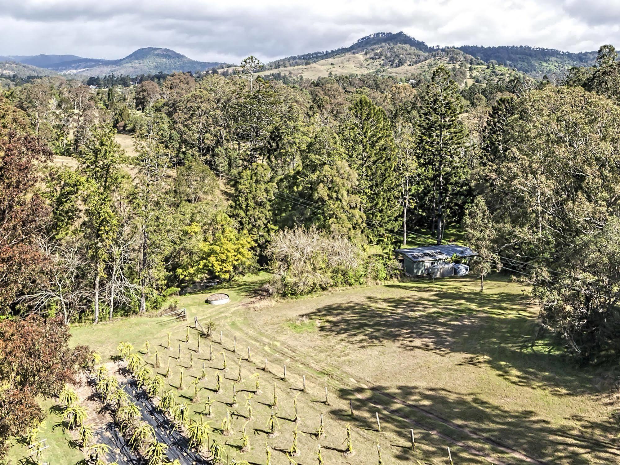 Tuckers Retreat Hotel Canungra ภายนอก รูปภาพ
