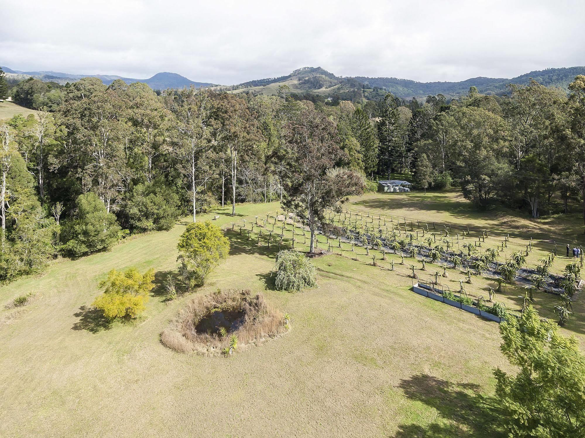 Tuckers Retreat Hotel Canungra ภายนอก รูปภาพ